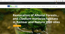 LIFE FORESTALL Restoration of Alluvial Forests and Cladium mariscus habitats in Ramsar and Natura 2000 sites LIFE FORESTALL Restoration of Alluvial Forests and Cladium mariscus habitats in Ramsar and Natura 2000 sites